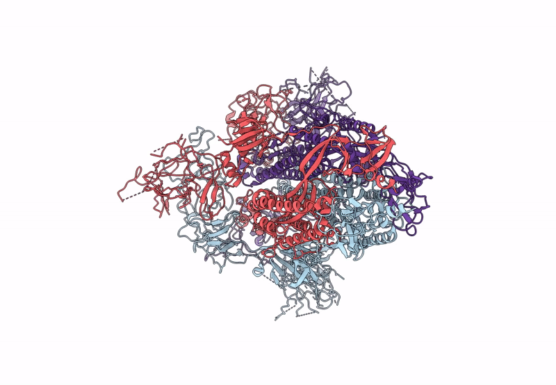 8T21 image