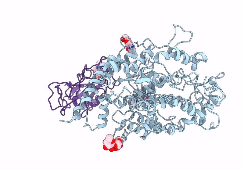 8T23 image