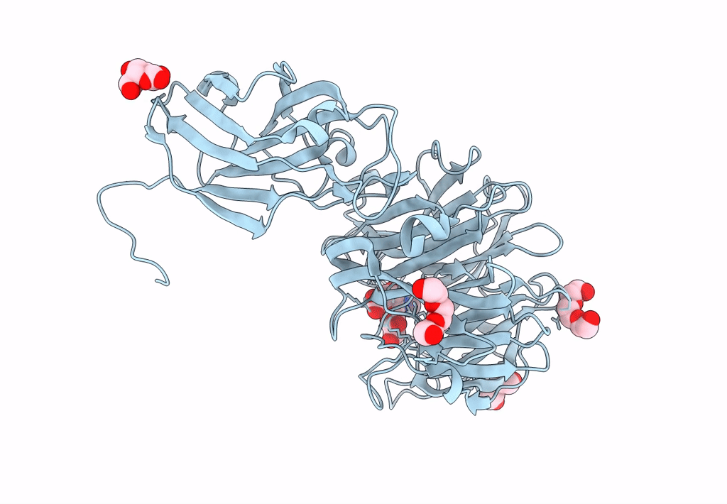 8T26 image