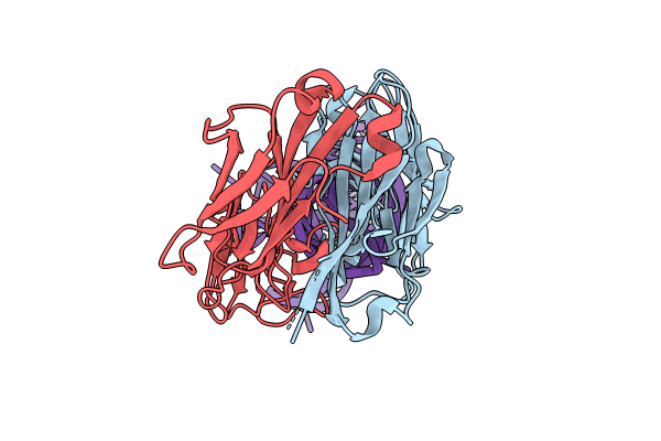 8T29 image