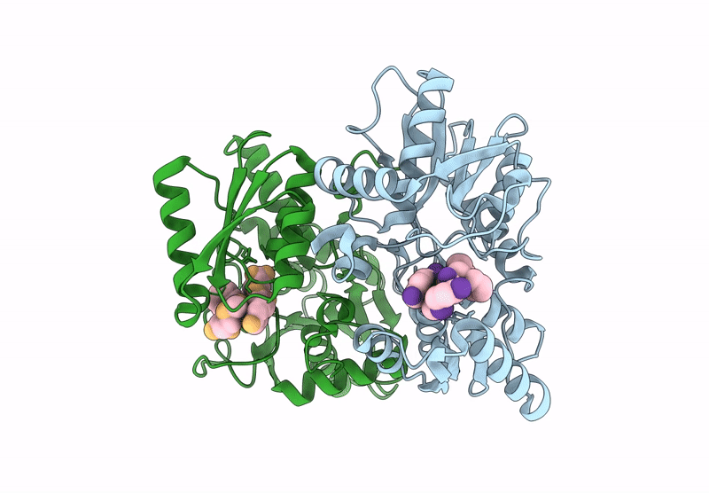 8T2C image