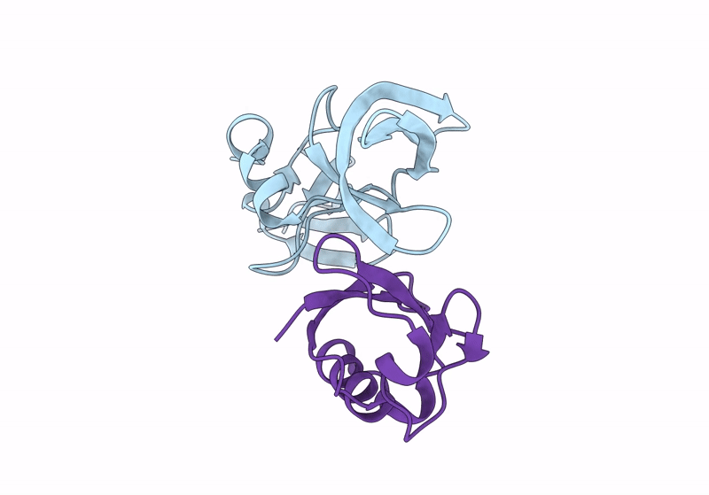 8T2D image