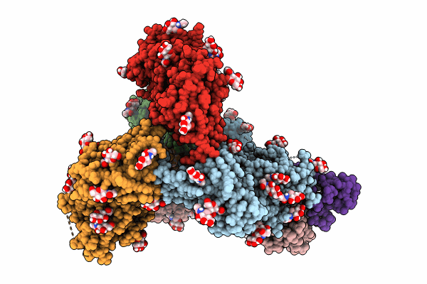 8T2F image