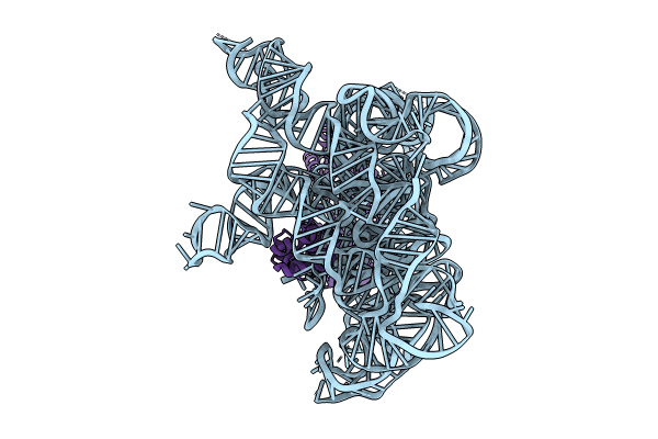 8T2S image