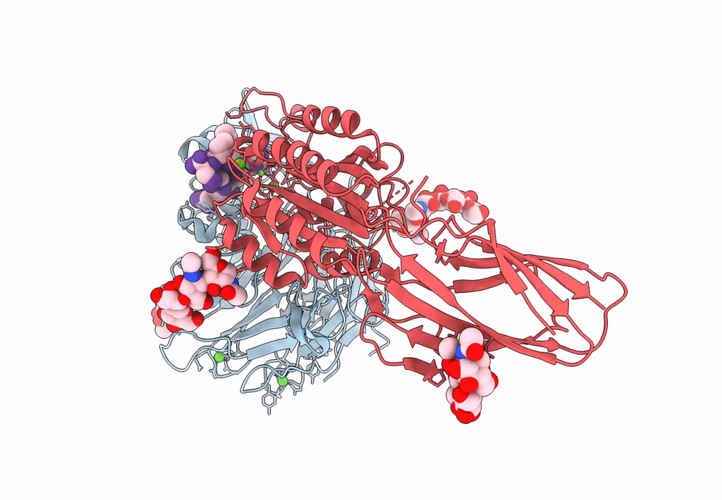 8T2U image