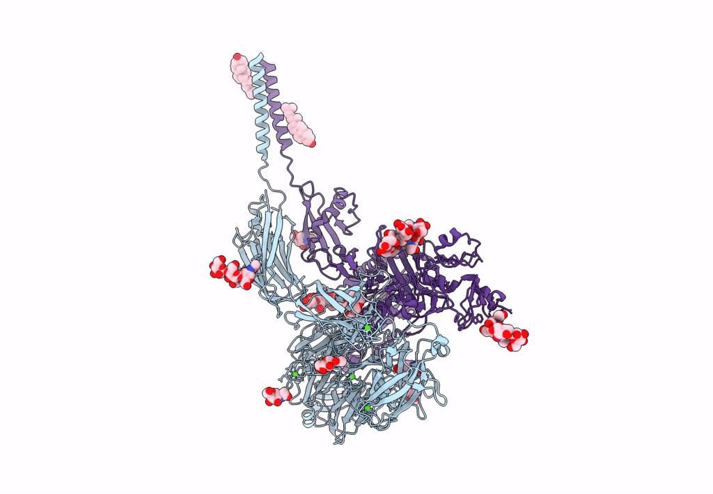 8T2V image