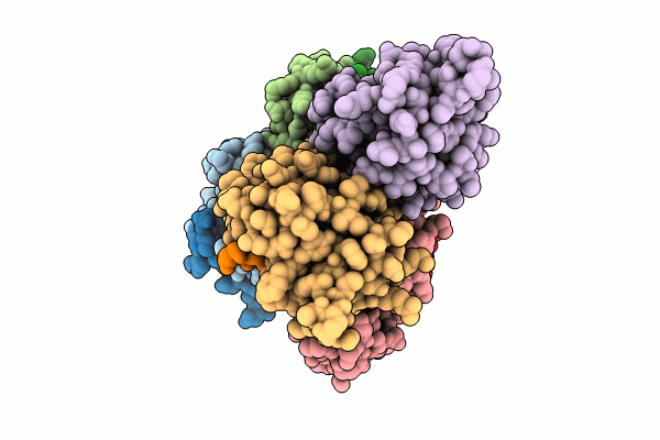 8T31 image