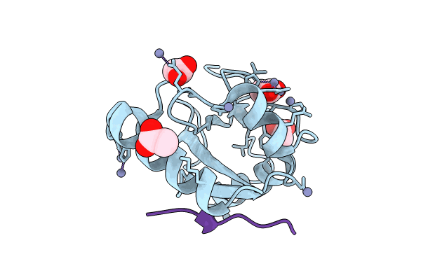 8T33 image