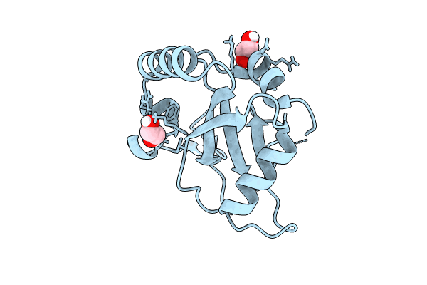 8T36 image