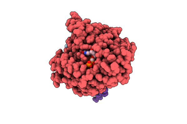 8T42 image