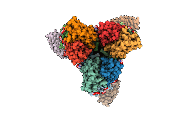 8T4D image