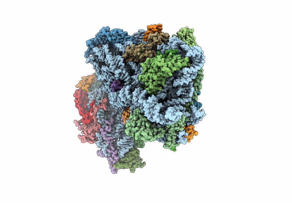 8T4S image