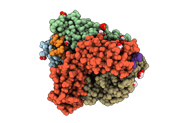 8T51 image