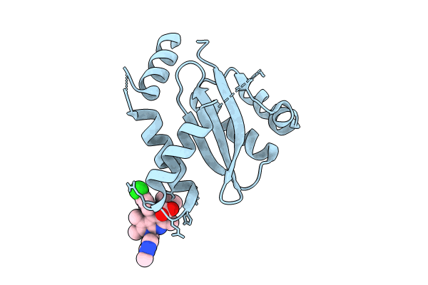 8T5A image