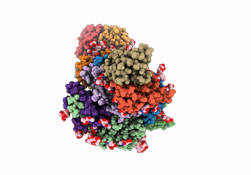 8T5C image