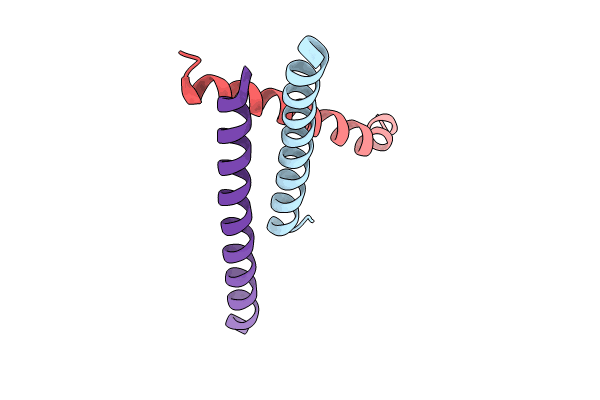 8T5F image