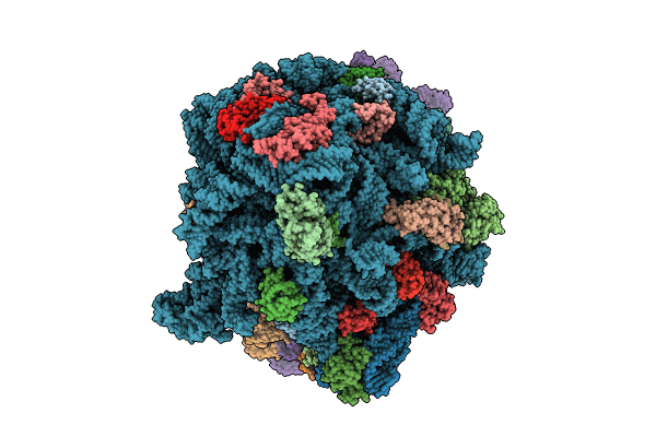 8T5H image