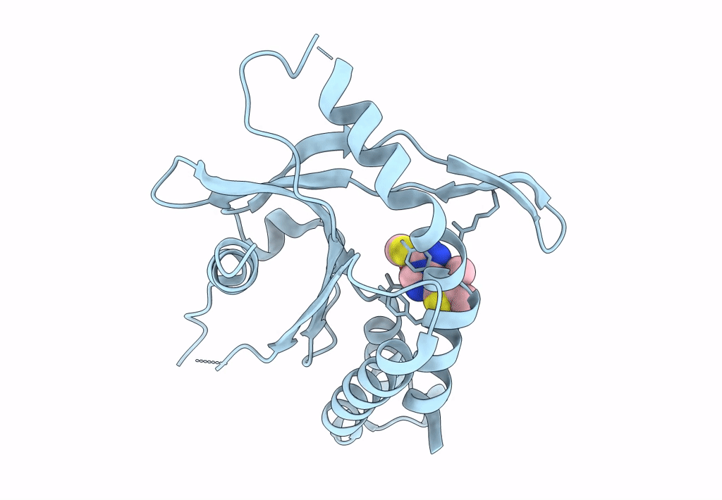 8T5K image