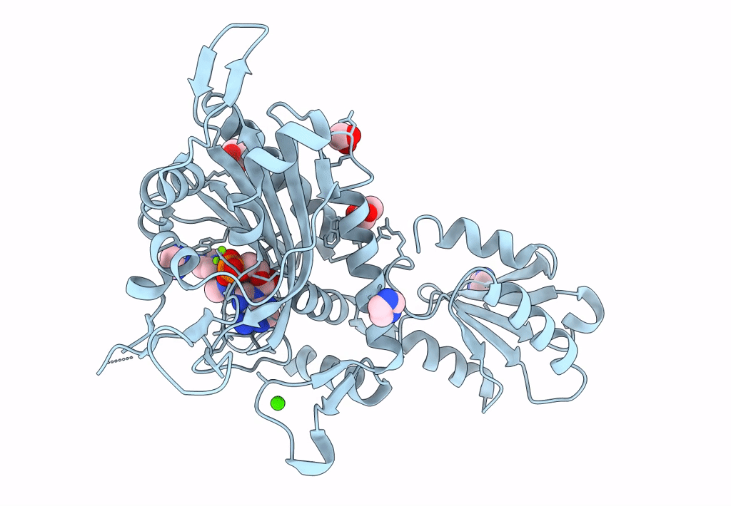 8T5N image