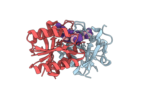 8T65 image