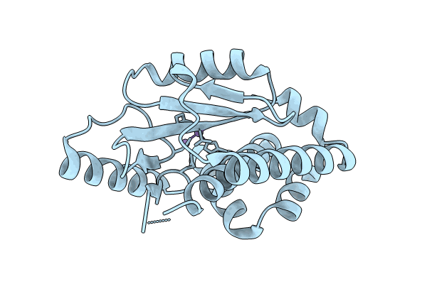 8T67 image