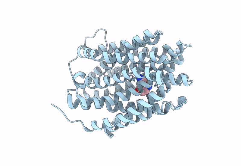 8T6B image