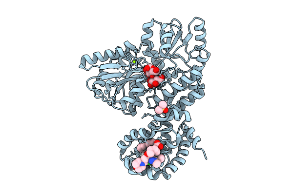 8T6F image