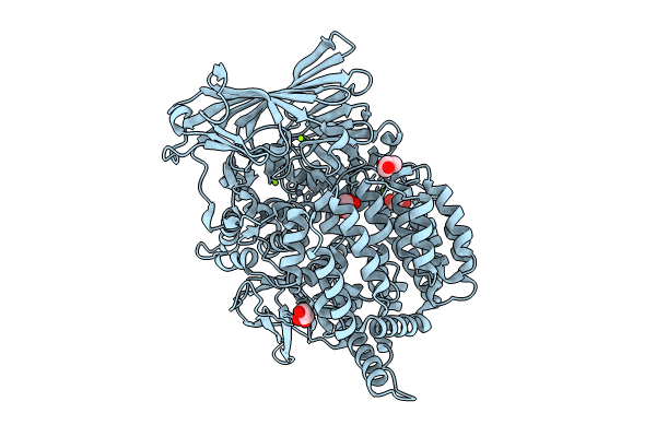 8T6H image