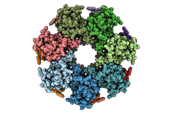 8T6K image