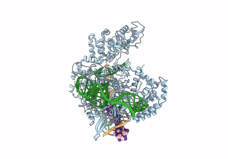 8T77 image