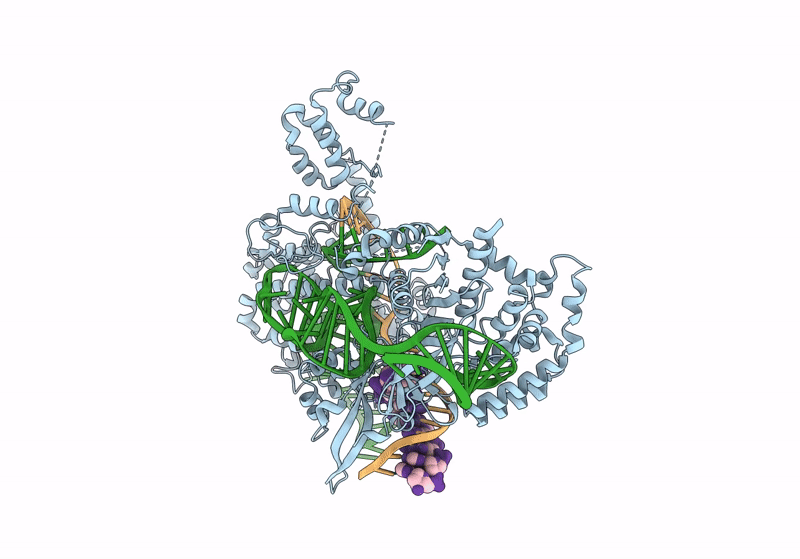 8T78 image