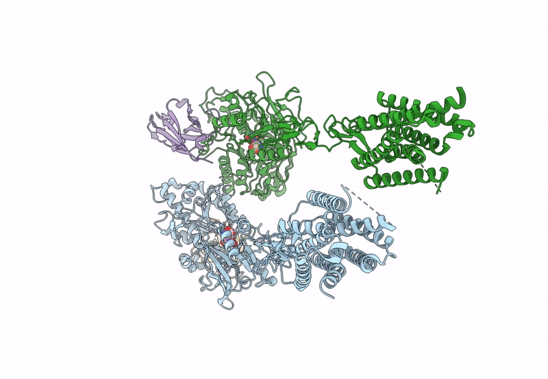 8T7H image