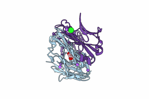 8T7I image