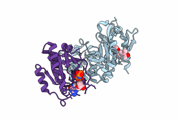 8T7V image
