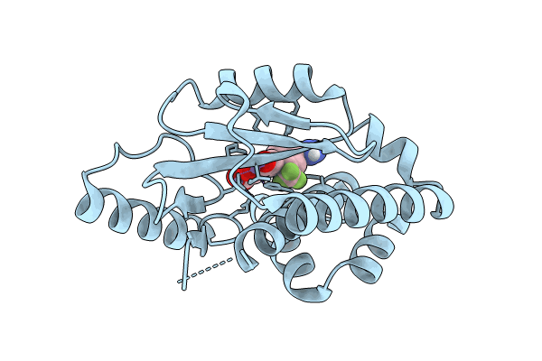 8T81 image