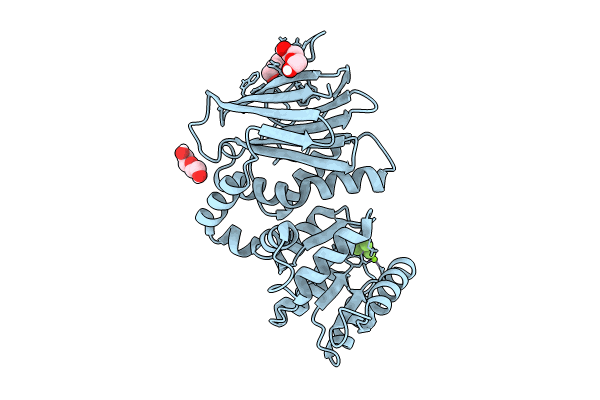 8T85 image