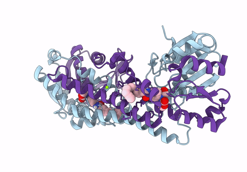 8T88 image