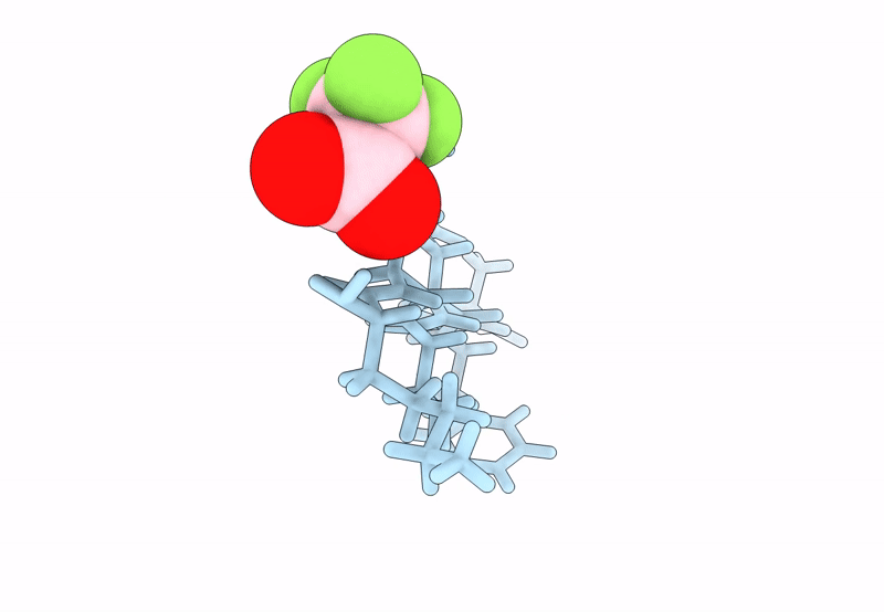 8T89 image