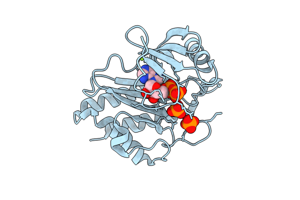 8T8V image