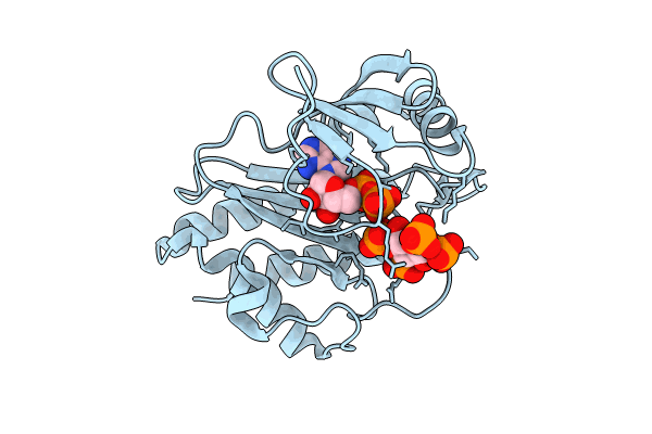 8T95 image