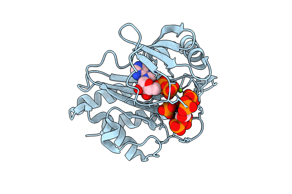 8T96 image
