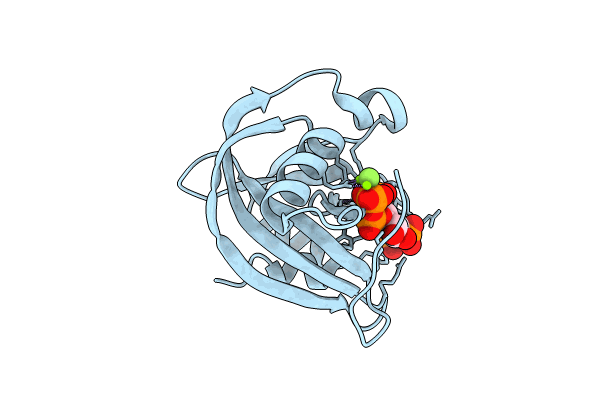 8T99 image