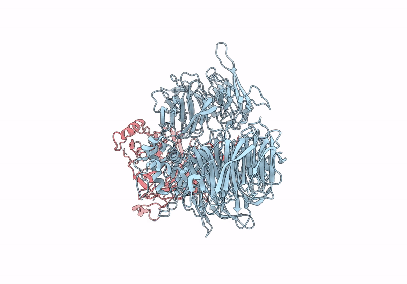 8T9A image