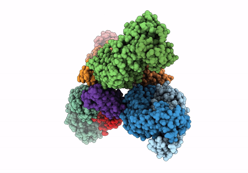 8T9B image