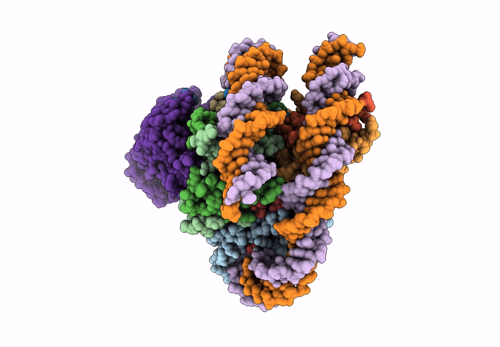 8T9H image