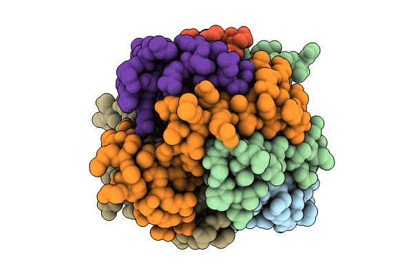 8T9P image