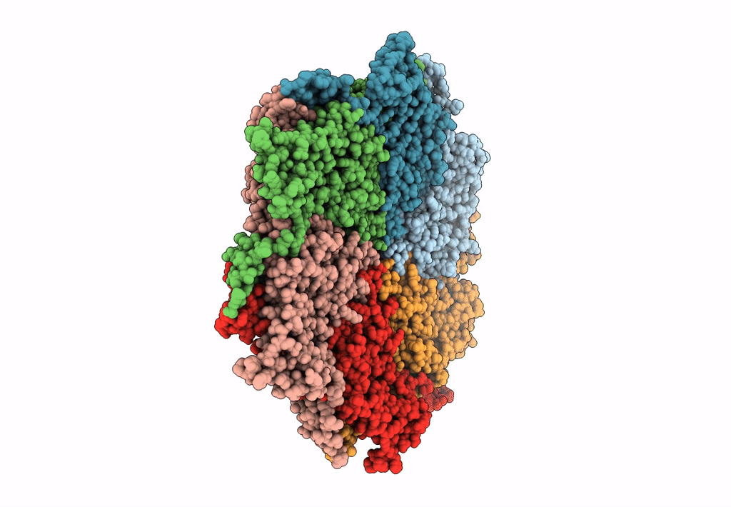 8T9R image