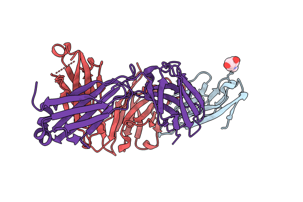 8TBB image