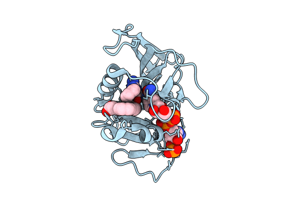 8TBR image