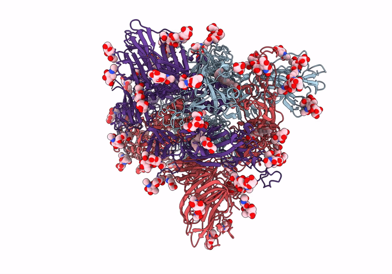8TC1 image